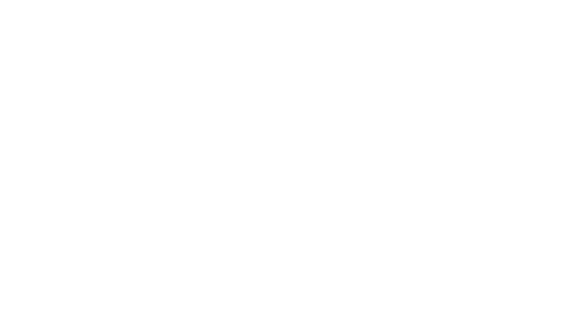 Authentic Syrian Flavors